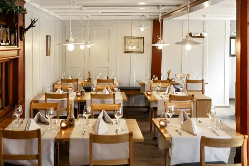 Pinte Hotel Grindelwald Ds 8818