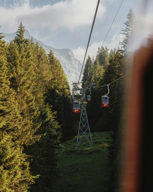 Bergwelt Grindelwald Design Luxury Hotel Ilia Bronskiy Gsoyru05vww Unsplash